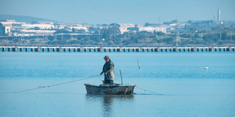 Voci dalla Laguna. ? Marina Federica Patteri