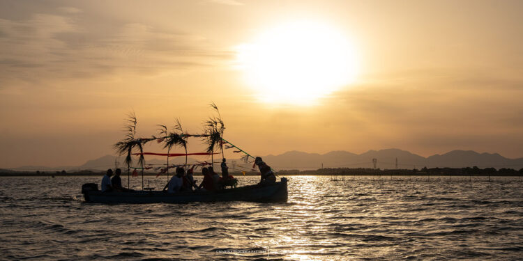 Voci dalla Laguna. ? Marina Federica Patteri
