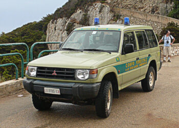 Fuoristrada del Corpo forestale e di vigilanza ambientale della Sardegna. ? Gianpiero Faedda