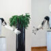 Rossana robot bibliotecaria