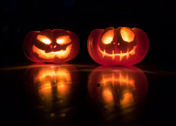 Le zucche di Halloween. ? David Menidrey | Unsplash