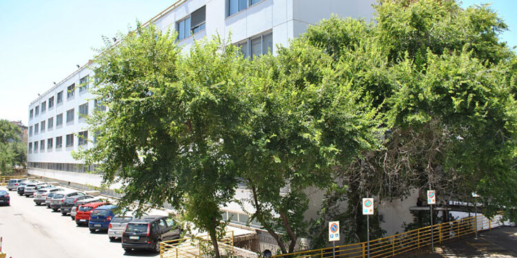 AOU Sassari Stecca bianca