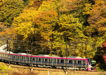 Mt. Takao train. 📷 ©Keio Corporation