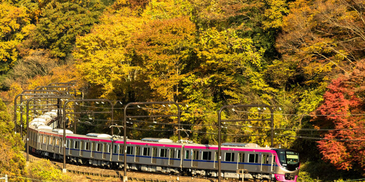 Mt. Takao train. 📷 ©Keio Corporation