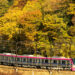 Mt. Takao train. ? ©Keio Corporation