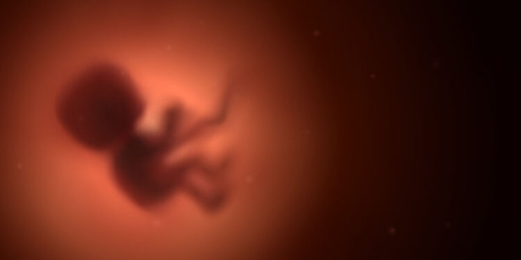 ? Adobe Stock | lidiia