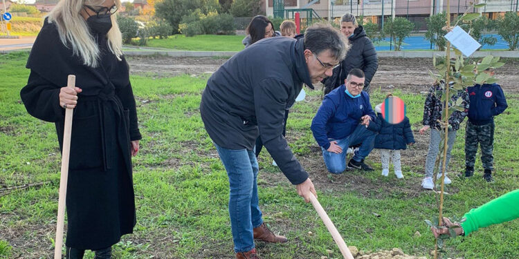 Giornata dell'albero Sassari 2021