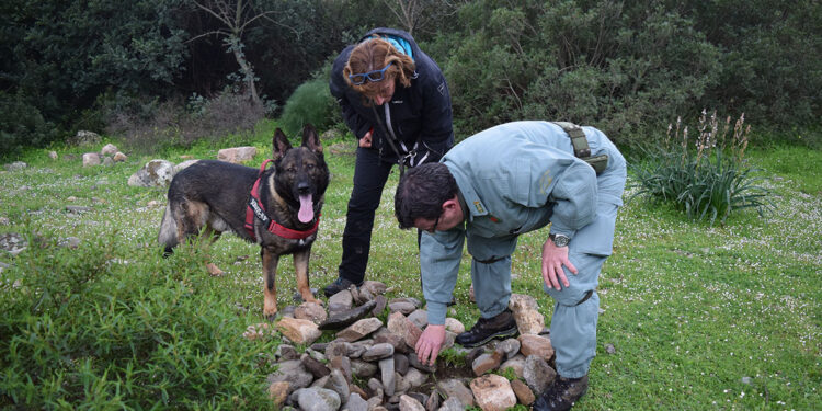 LIFE Safe for Vultures, formazione del nucleo cinofilo antiveleno. ? Antonio Varcasia