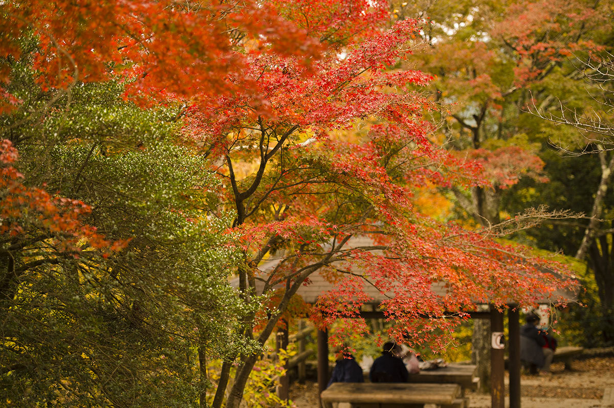 Monte Takao