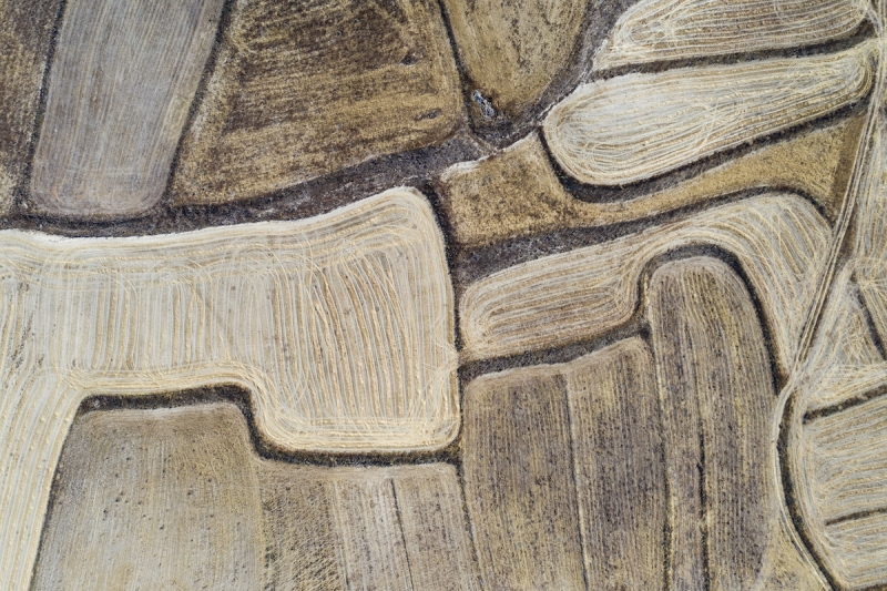 Mostra fotografica “164 Piedi: Sardegna dallo Zenit al Nadir”: Campi