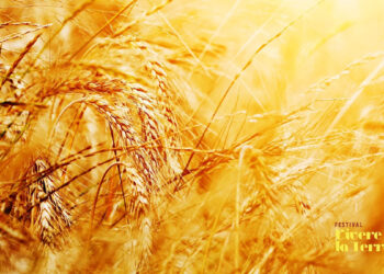 Festival "Vivere la Terra"