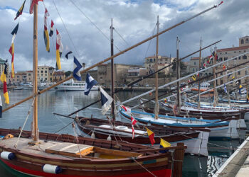 Vela latina nel porto di Alghero