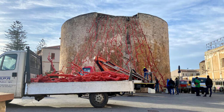 Alghero albero dei coralli