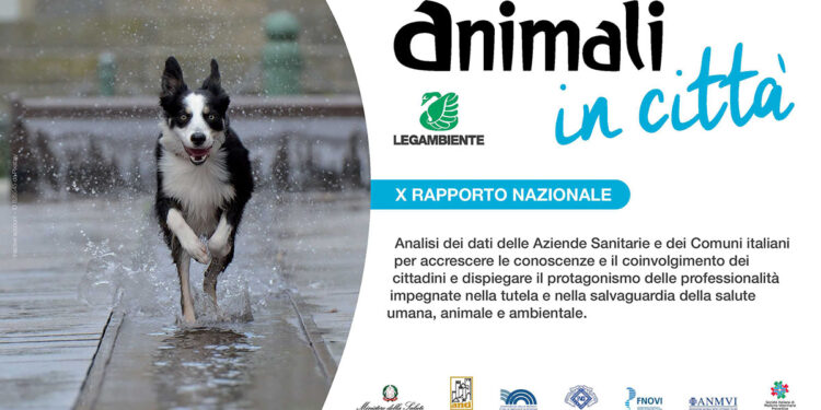 Animali in città 2021