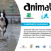 Animali in città 2021