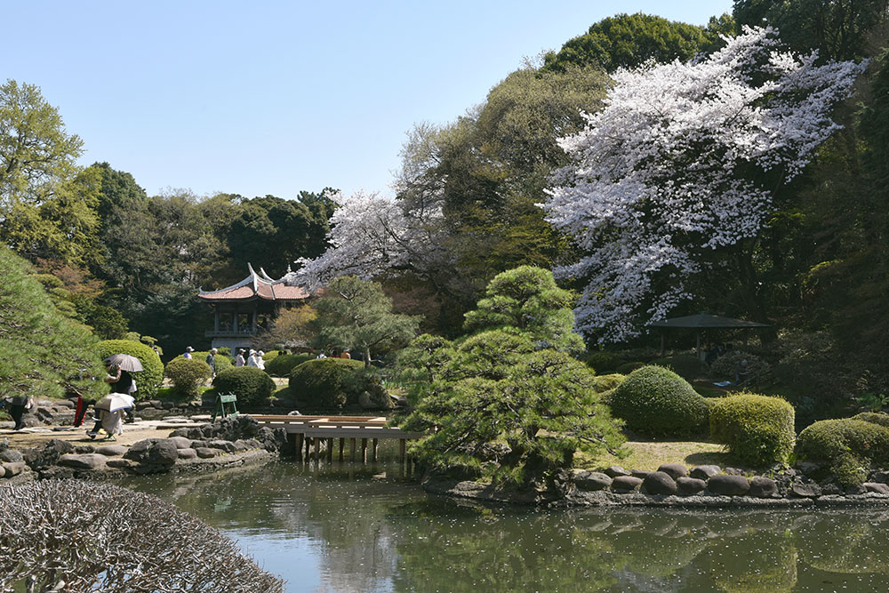 Tokyo Shinjuku Gyoen. (C)TCVB