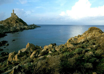 Isola dell'Asinara