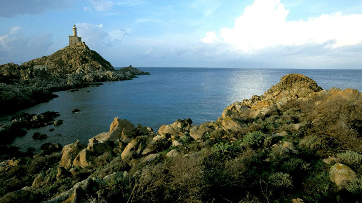 Asinara