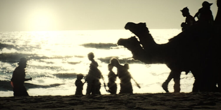 Ananda - Camel beach