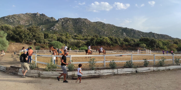 Palahorse, il campo prova