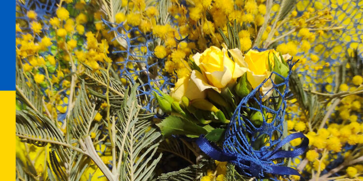 Mimose per l'Ucraina