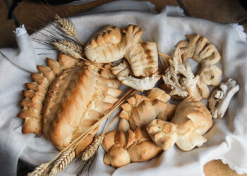 Coccoi. Foto Adobe Stock | Denise Serra