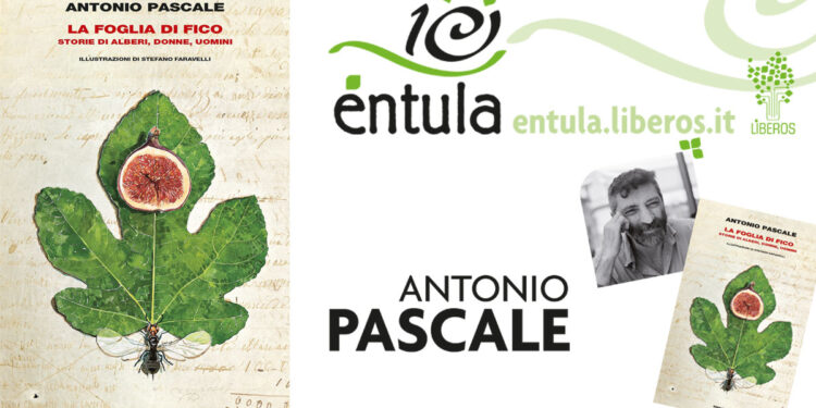 Entula Antonio Pascale La foglia di fico