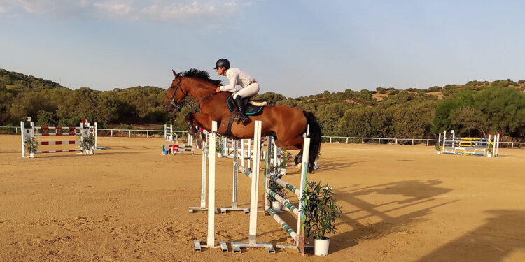 Equitazione salto ad ostacoli