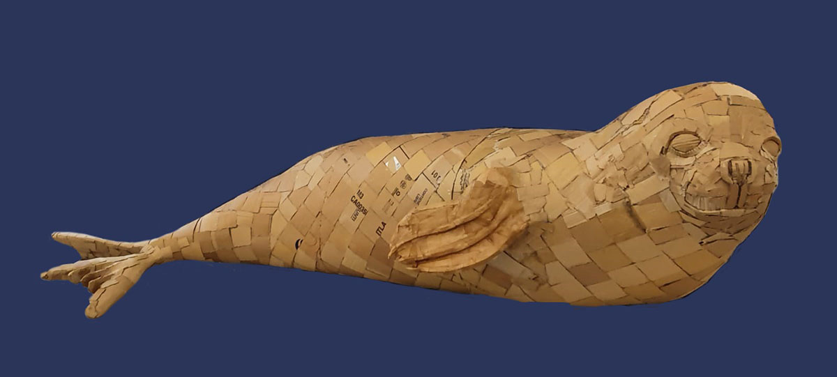 La  struttura  della Foca monaca (E.Malagigi e A.Nocentini)