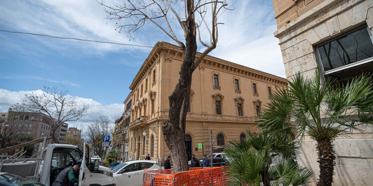 La Jacaranda del largo Carlo Felice a Cagliari