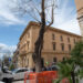 La Jacaranda del largo Carlo Felice a Cagliari