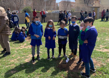 Scuola La Pedrera Alghero alberi