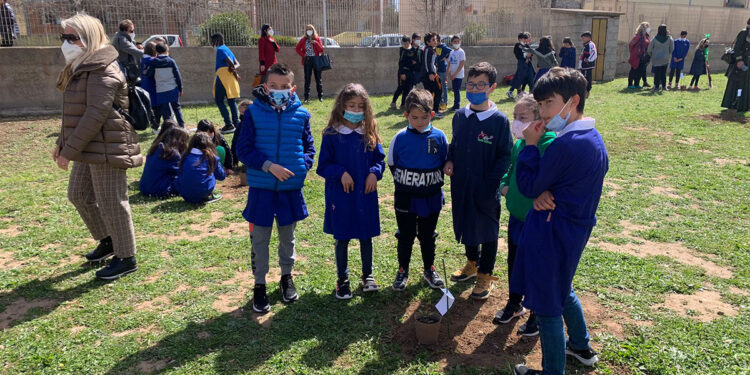 Scuola La Pedrera Alghero alberi