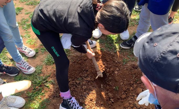  Alghero - Scuola La Pedrera, piantumazione alberi
