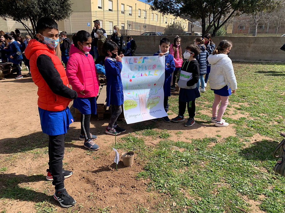  Alghero - Scuola La Pedrera, piantumazione alberi
