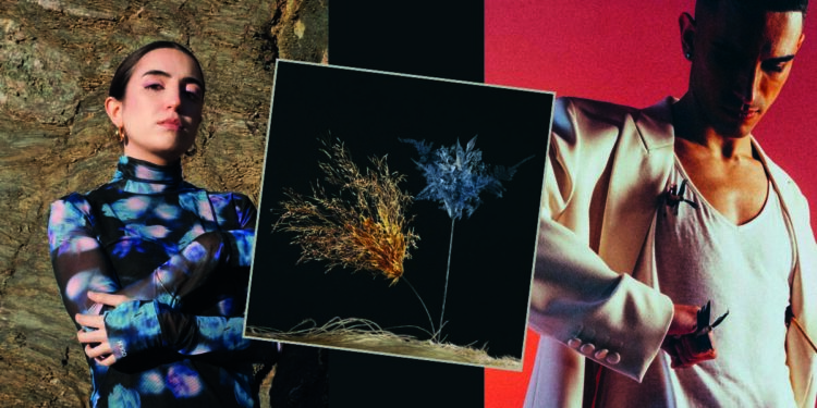 Bluem Malakay "Grazie"