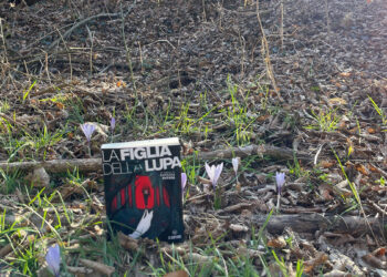 “La figlia della lupa” di Barbara Aversa