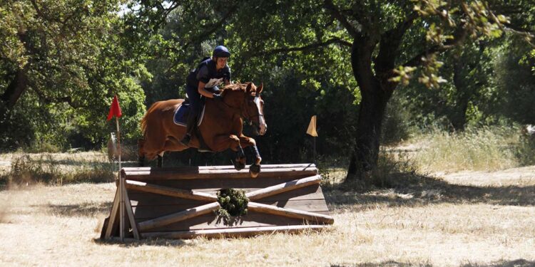 Sport equestri un salto nel completo