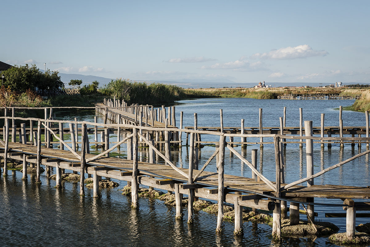 Stagno di Cabras