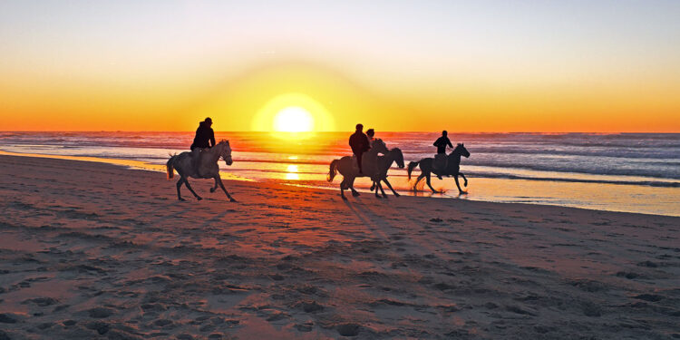 Passeggiate a cavallo sulla spiaggia al tramonto. ? Depositphotos