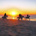 Passeggiate a cavallo sulla spiaggia al tramonto. 📷 Depositphotos