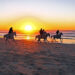Passeggiate a cavallo sulla spiaggia al tramonto. ? Depositphotos