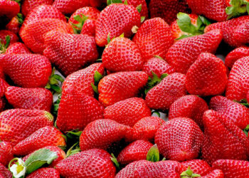 fragole