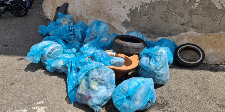 Giornata ecologica di Torre Grande