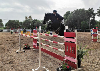 Giovanni Carboni su Rubacuori Baio