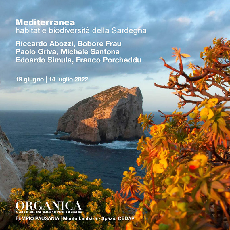Organica "Mediterranea"