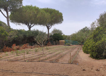 Progetto CRiMM - Legambiente e famiglia Abbado