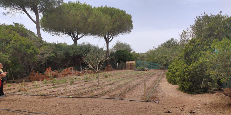 Progetto CRiMM - Legambiente e famiglia Abbado