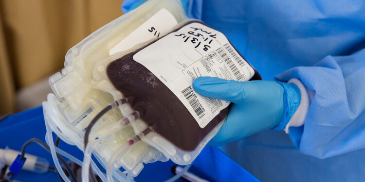 Sacca sangue