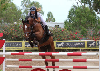 Salto ostacoli al Centro Is Alinos di Maracalagonis. ? Erdas Foto